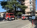 I mezzi di soccorso presenti in via Cavour a Varese