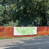 «Via Curtatone, difendere il bosco costa un processo» «Via Curtatone, difendere il bosco costa un processo»