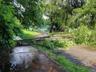 Viale Gabardi Viale Gabardi