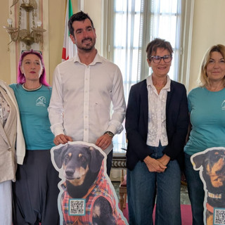 Ai Giardini torna “Musi di Varese”, il primo calendario della città dedicato a cani e umani Ai Giardini torna “Musi di Varese”, il primo calendario della città dedicato a cani e umani
