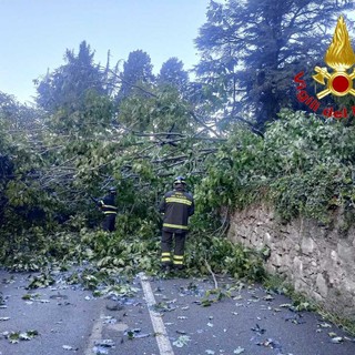 I vigili del fuoco al lavoro a Gemonio I vigili del fuoco al lavoro a Gemonio