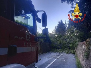I vigili del fuoco al lavoro a Gemonio I vigili del fuoco al lavoro a Gemonio