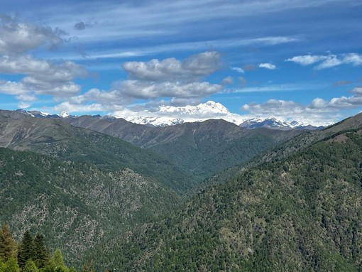 Il Rosa si nasconde tra nubi e altre montagne: è questo uno dei panorami meravigliosi che si possono godere dall'Oasi Zegna; dall'altra parte, invece, la sterminata pianura Il Rosa si nasconde tra nubi e altre montagne: è questo uno dei panorami meravigliosi che si possono godere dall'Oasi Zegna; dall'altra parte, invece, la sterminata pianura