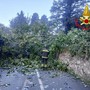 I vigili del fuoco al lavoro a Gemonio I vigili del fuoco al lavoro a Gemonio