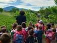 I piccoli dell'asilo Dell'Acqua di Casciago protagonisti all'azienda agricola Sciareda di Cittiglio I piccoli dell'asilo Dell'Acqua di Casciago protagonisti all'azienda agricola Sciareda di Cittiglio
