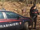 Spaccio nella &quot;rete verde&quot; dei boschi di Cugliate Fabiasco: due uomini arrestati dai carabinieri