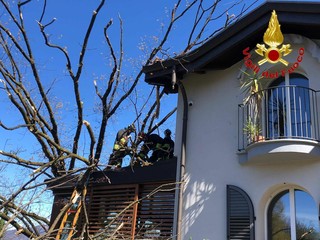 I vigili del fuoco sono stati chiamati a una settantina di interventi per il vento in provincia di Varese I vigili del fuoco sono stati chiamati a una settantina di interventi per il vento in provincia di Varese