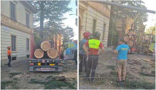 I lavori di abbattimento all'angolo tra viale Aguggiari e via Parravicini a Varese I lavori di abbattimento all'angolo tra viale Aguggiari e via Parravicini a Varese