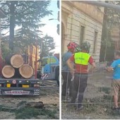 I lavori di abbattimento all'angolo tra viale Aguggiari e via Parravicini a Varese I lavori di abbattimento all'angolo tra viale Aguggiari e via Parravicini a Varese