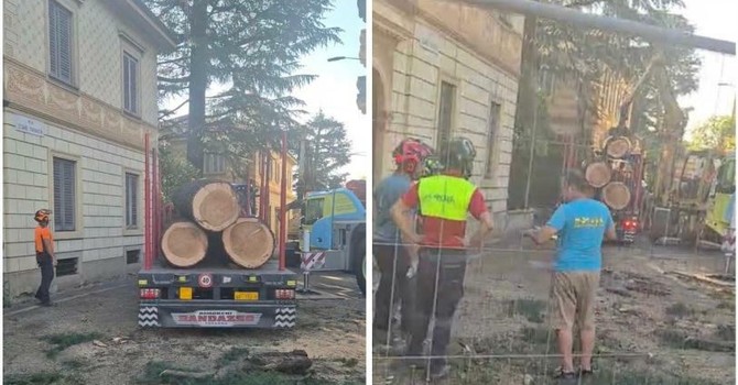 I lavori di abbattimento all'angolo tra viale Aguggiari e via Parravicini a Varese I lavori di abbattimento all'angolo tra viale Aguggiari e via Parravicini a Varese