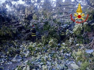 I vigili del fuoco al lavoro a Gemonio I vigili del fuoco al lavoro a Gemonio
