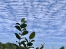 METEO. Sul Varesotto oggi possibile qualche temporale: poi sarà di nuovo afa METEO. Sul Varesotto oggi possibile qualche temporale: poi sarà di nuovo afa