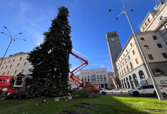 La posa delle lucine sull'albero di piazza Monte Grappa La posa delle lucine sull'albero di piazza Monte Grappa