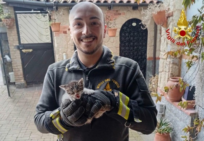 Gattino incastrato da due giorni nella canna fumaria: vigili del fuoco al lavoro per tre ore per liberarlo Gattino incastrato da due giorni nella canna fumaria: vigili del fuoco al lavoro per tre ore per liberarlo