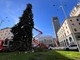 La posa delle lucine sull'albero di piazza Monte Grappa
