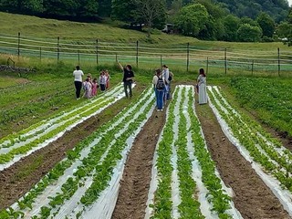 I piccoli dell'asilo Dell'Acqua di Casciago protagonisti all'azienda agricola Sciareda di Cittiglio I piccoli dell'asilo Dell'Acqua di Casciago protagonisti all'azienda agricola Sciareda di Cittiglio