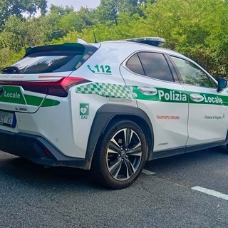 Tenta di truffare i commercianti di Vergiate con il "trucco" dei soldi da cambiare: arrestata dalla polizia locale