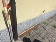 I segni dell'effrazione della scorsa notte da Gamba Cicli alla Schiranna I segni dell'effrazione della scorsa notte da Gamba Cicli alla Schiranna