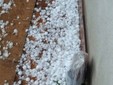 Chicchi di grandi a Besozzo (si ringraziano Emanuela e la pagina Facebook Besozzo senza censura) Chicchi di grandi a Besozzo (si ringraziano Emanuela e la pagina Facebook Besozzo senza censura)