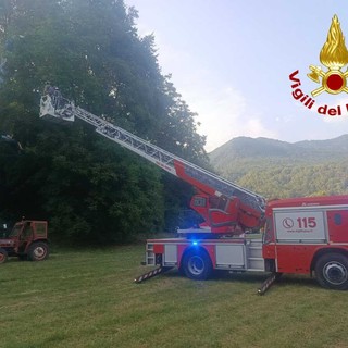 Cittiglio, parapendista in difficoltà resta appeso a un albero Cittiglio, parapendista in difficoltà resta appeso a un albero