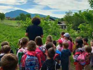 I piccoli dell'asilo Dell'Acqua di Casciago protagonisti all'azienda agricola Sciareda di Cittiglio I piccoli dell'asilo Dell'Acqua di Casciago protagonisti all'azienda agricola Sciareda di Cittiglio