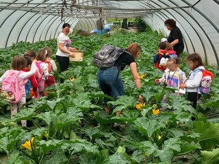 I piccoli dell'asilo Dell'Acqua di Casciago protagonisti all'azienda agricola Sciareda di Cittiglio I piccoli dell'asilo Dell'Acqua di Casciago protagonisti all'azienda agricola Sciareda di Cittiglio