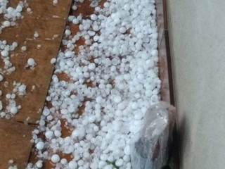 Chicchi di grandi a Besozzo (si ringraziano Emanuela e la pagina Facebook Besozzo senza censura)