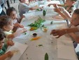 I piccoli dell'asilo Dell'Acqua di Casciago protagonisti all'azienda agricola Sciareda di Cittiglio I piccoli dell'asilo Dell'Acqua di Casciago protagonisti all'azienda agricola Sciareda di Cittiglio