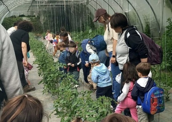 I piccoli dell'asilo Dell'Acqua di Casciago protagonisti all'azienda agricola Sciareda di Cittiglio I piccoli dell'asilo Dell'Acqua di Casciago protagonisti all'azienda agricola Sciareda di Cittiglio
