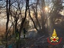 Incendio nel bosco a Maccagno: i vigili del fuoco circoscrivono le fiamme e salvano un'abitazione Incendio nel bosco a Maccagno: i vigili del fuoco circoscrivono le fiamme e salvano un'abitazione