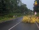 I temporali picchiano duro anche il Verbano Cusio Ossola: quaranta interventi dei vigili del fuoco nella notte I temporali picchiano duro anche il Verbano Cusio Ossola: quaranta interventi dei vigili del fuoco nella notte
