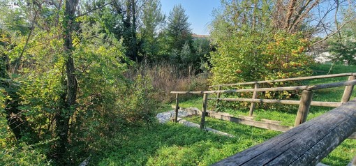 L’Università dell’Insubria presente nel GreenMetric World, ranking internazionale sulla sostenibilità degli atenei L’Università dell’Insubria presente nel GreenMetric World, ranking internazionale sulla sostenibilità degli atenei