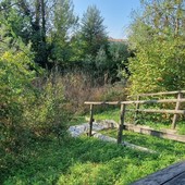 L’Università dell’Insubria presente nel GreenMetric World, ranking internazionale sulla sostenibilità degli atenei L’Università dell’Insubria presente nel GreenMetric World, ranking internazionale sulla sostenibilità degli atenei