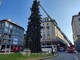 VIDEO. Vigili del fuoco al lavoro per allestire l’Albero di natale di piazza Monte Grappa