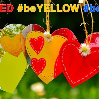 Avis Cassano Magnago festeggia 60 anni di solidarietà: musica, premi e nuovi traguardi