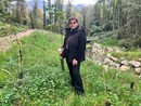 Azzio, dal cantiere della fognatura nasce un bosco di 700 arbusti Azzio, dal cantiere della fognatura nasce un bosco di 700 arbusti