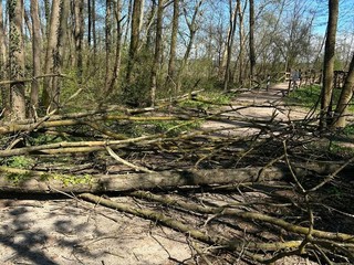 Alcune delle immagini scattate nel pomeriggio di domenica sulla ciclabile del lago tra Buguggiate e Bodio Lomnago Alcune delle immagini scattate nel pomeriggio di domenica sulla ciclabile del lago tra Buguggiate e Bodio Lomnago