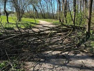 Alcune delle immagini scattate nel pomeriggio di domenica sulla ciclabile del lago tra Buguggiate e Bodio Lomnago Alcune delle immagini scattate nel pomeriggio di domenica sulla ciclabile del lago tra Buguggiate e Bodio Lomnago