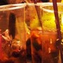 Varese, locali nel mirino: chiusura serale per un mese dopo sanzioni e disordini