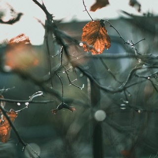 Primo assaggio d'autunno