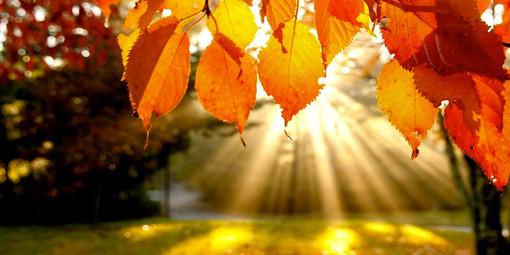 METEO. Continua l'autunno pazzo: domani attese temperature di cinque gradi sopra la media stagionale