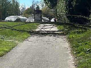 Alcune delle immagini scattate nel pomeriggio di domenica sulla ciclabile del lago tra Buguggiate e Bodio Lomnago Alcune delle immagini scattate nel pomeriggio di domenica sulla ciclabile del lago tra Buguggiate e Bodio Lomnago