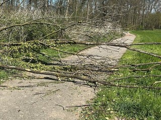 Alcune delle immagini scattate nel pomeriggio di domenica sulla ciclabile del lago tra Buguggiate e Bodio Lomnago Alcune delle immagini scattate nel pomeriggio di domenica sulla ciclabile del lago tra Buguggiate e Bodio Lomnago