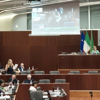 L’intervento al Pirellone dell’assessore Caruso. Sotto, con il relatore Invernici