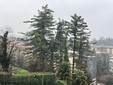 Acqua e neve difficile da vedere in foto cade su Varese questa mattina