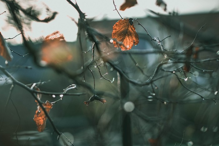 Primo assaggio d'autunno Primo assaggio d'autunno