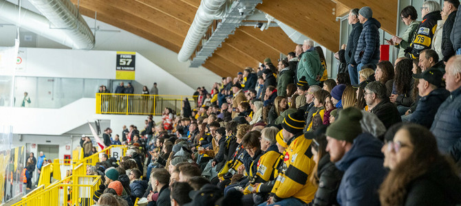 Semifinale con l'Aosta, la grande attesa: prezzi dei biglietti e prelazione per gli abbonati, ecco come spingere i Mastini in gara 2