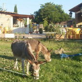 foto d'archivio