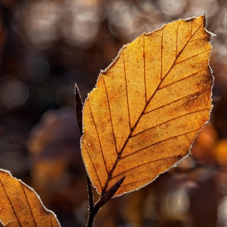 Ultima giornata mite prima di una domenica nuvolosa e di un lunedì con qualche pioggia: oggi ancora 20°, poi massime giù anche di 8 gradi