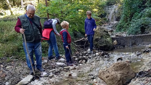Besano, escursione a piedi sulle tracce dei fossili con visita agli scavi e al museo